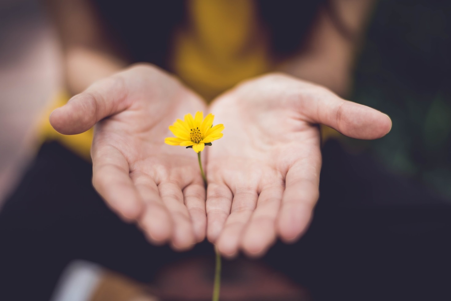 Resiliencia emocional: claves para desarrollarla